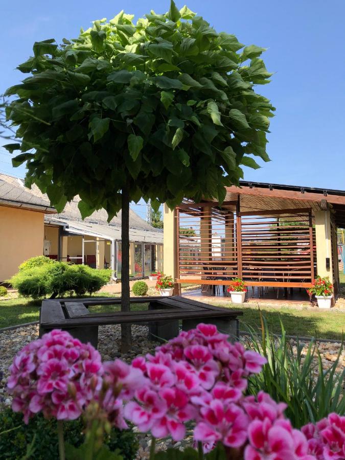 Green Corner Wellness Püspökladány Exteriér fotografie